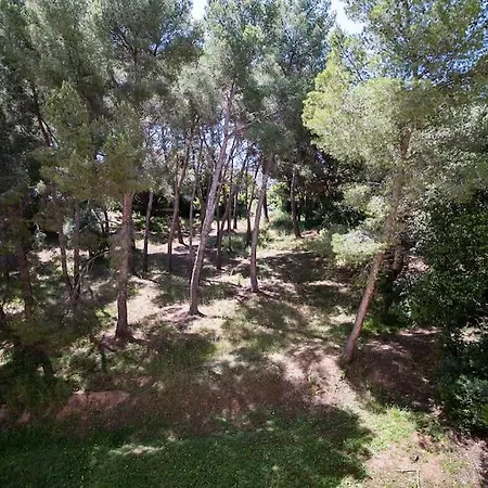 Superb T4 Souplex In Giens Apartment Hyeres
