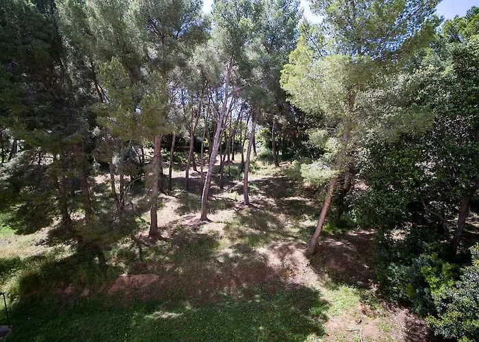 Superb T4 Souplex In Giens Apartman Hyères